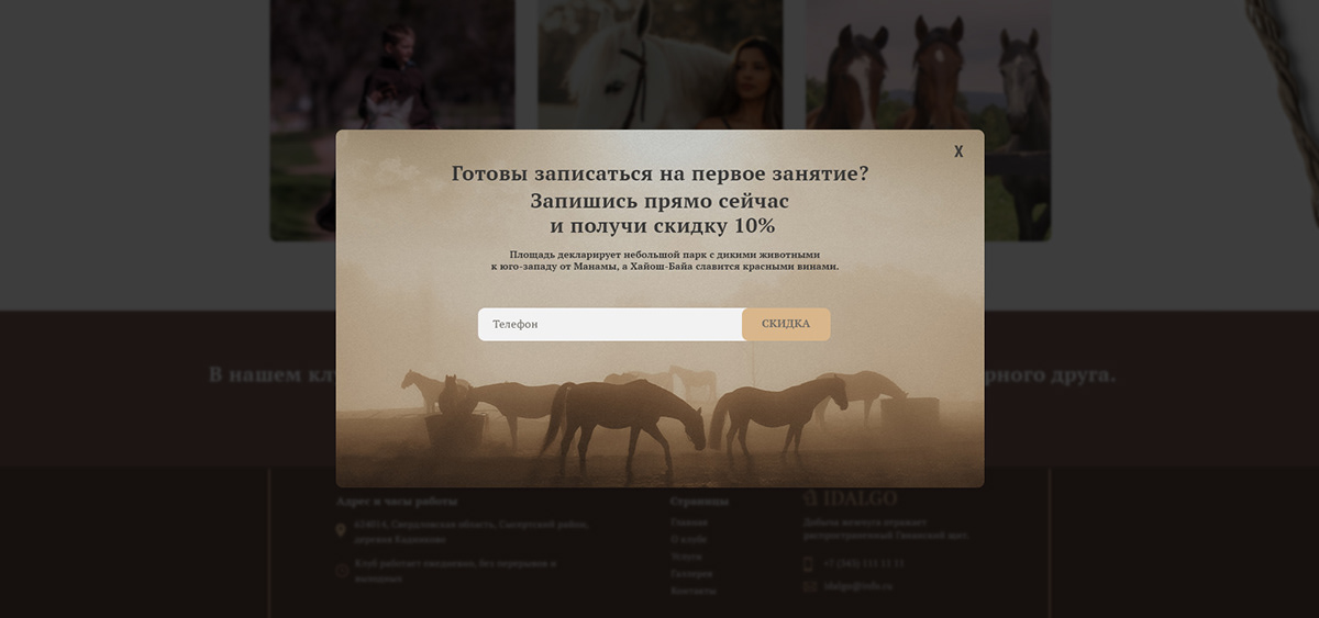 design equestrian horse club horse riding Mockup Web Design  Website
