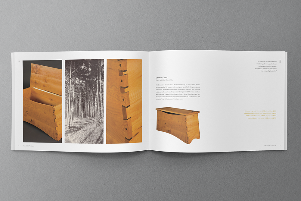 furniture brochure identity logo print catalog modern