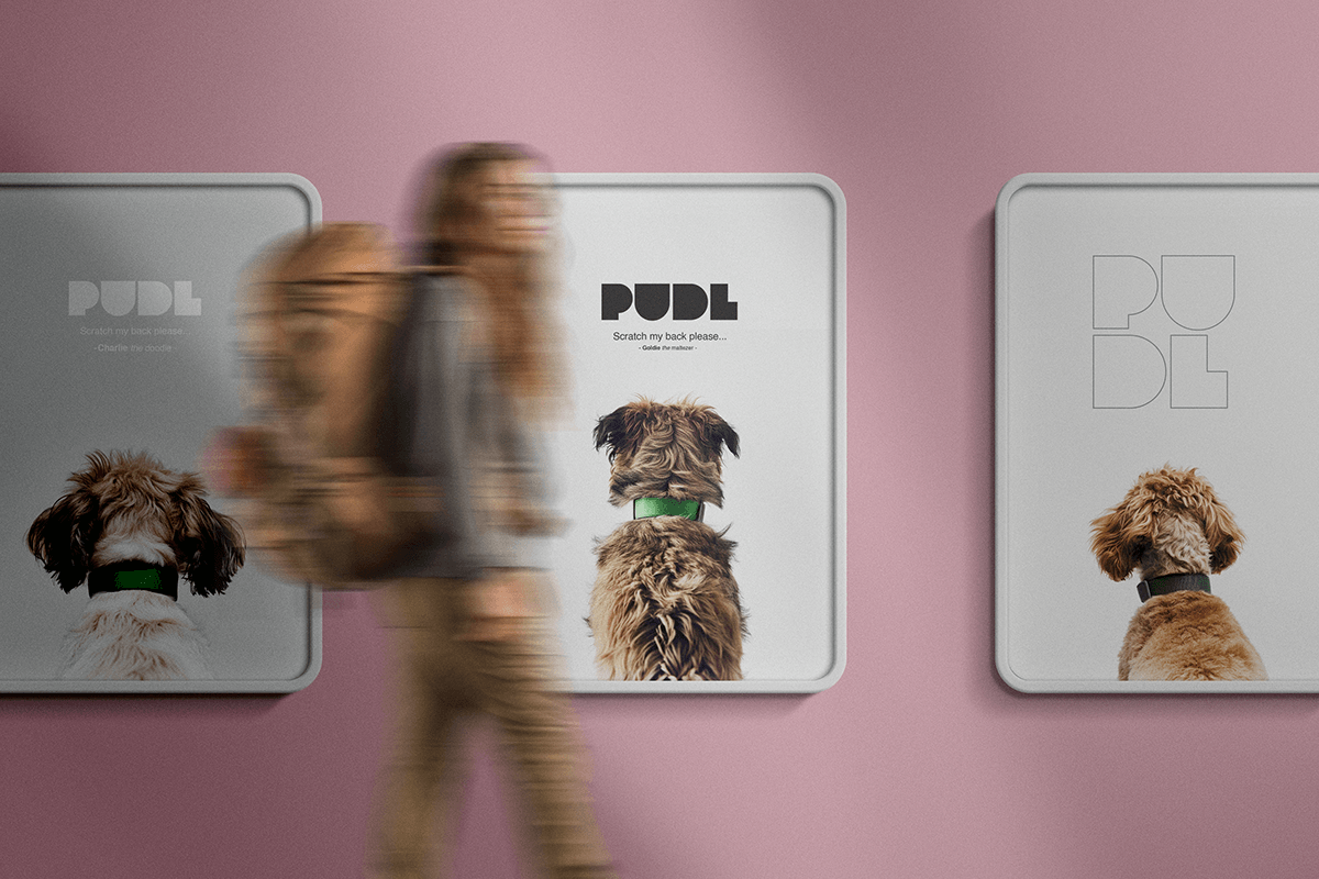 Branding design brand identity Graphic Designer visual identity Logo Design groom pets petshop brand identity design logo