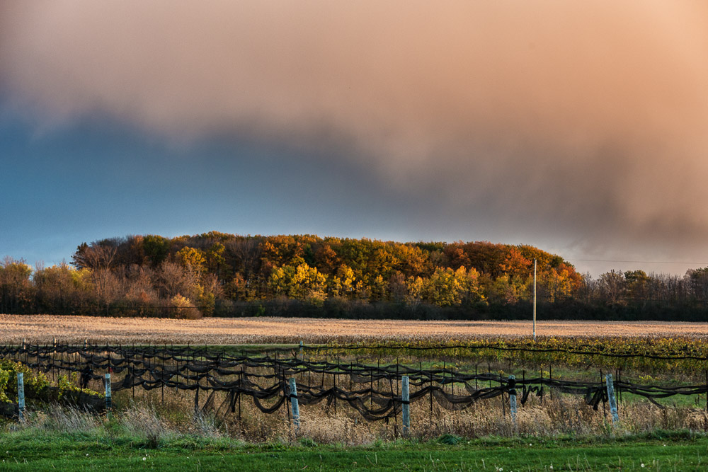 clouds SKY Ontario Canada prince edward county wine country making Vineyards