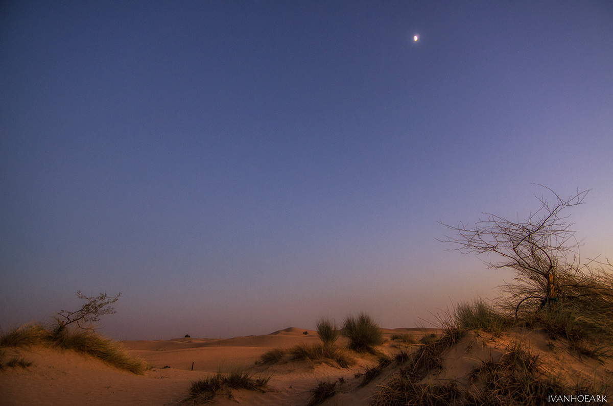 photo digital desert sunset moon dunes