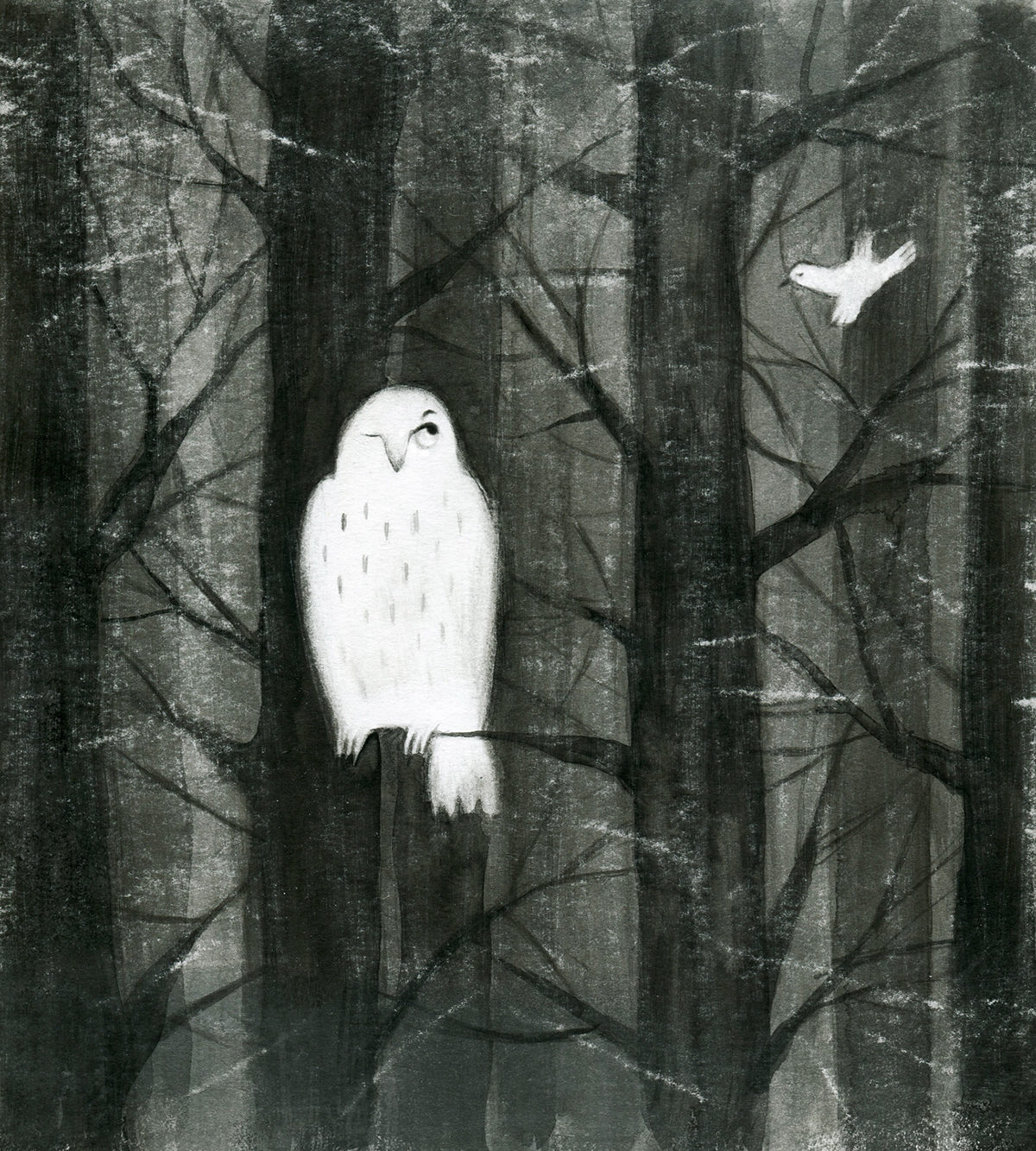 ink bird owl forest night