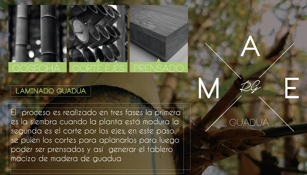 ecodesign industrialdesign bamboo guadua