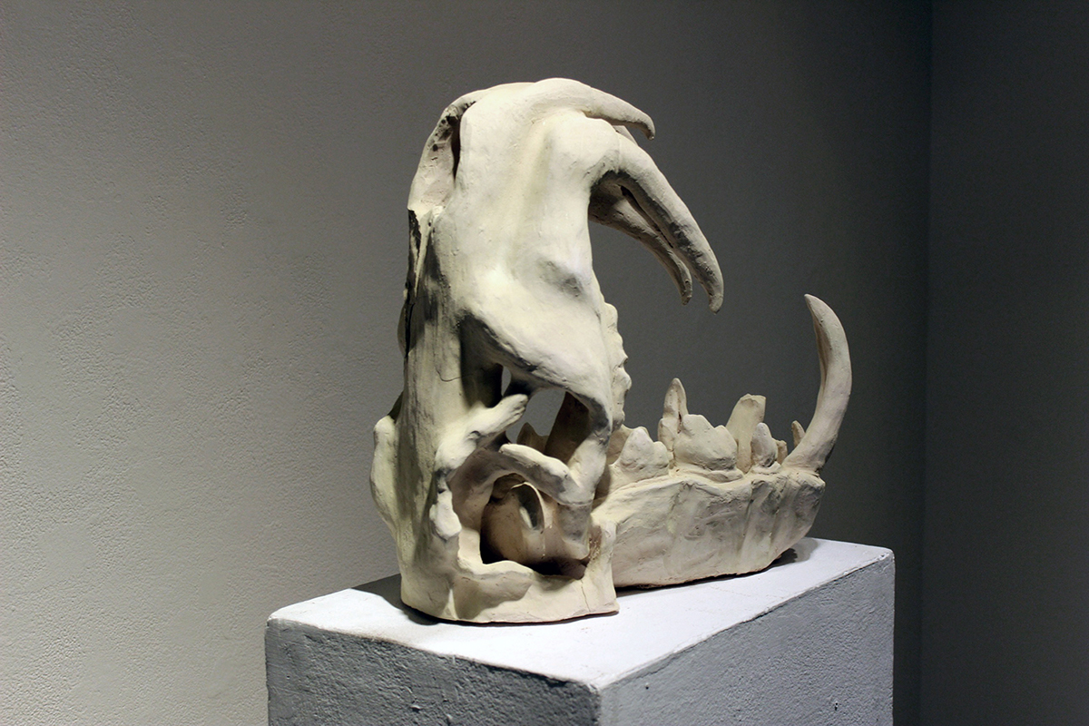 sculpture ceramics  animal skull stoneware clay skull bones death