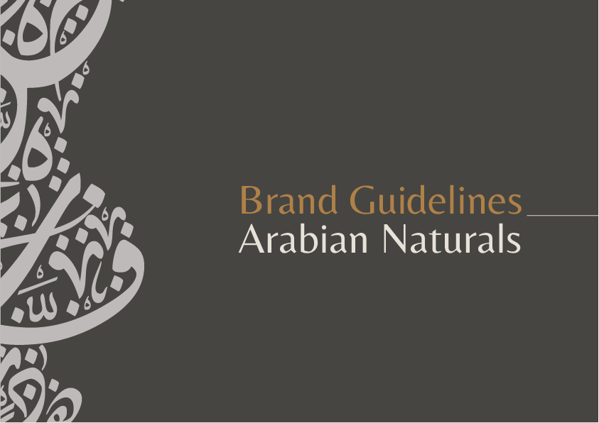 Brand Design brand identity branding  cosmetics guideline identity Logo Design Logotype Manual branding typography  