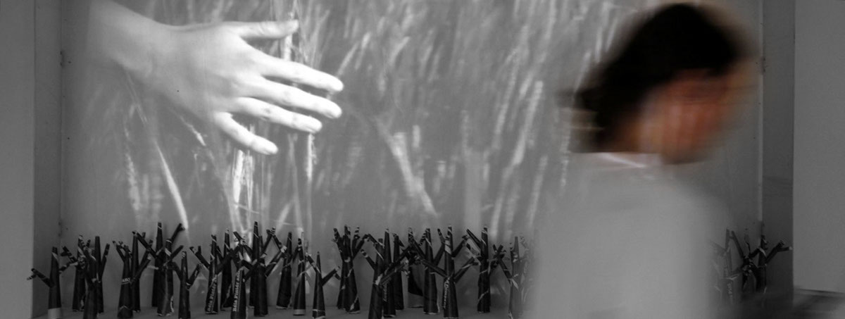 Audio-Visual Installation installation contemporary váczieszter gátosiván zengarden White black paper Tree  forest pando symbiosis