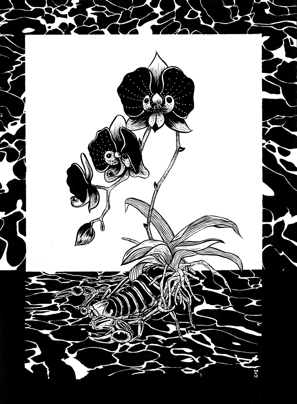 midnight Herbarium stars weed statue Web Flowers Vase lobster slug appolo black ink coton Pool