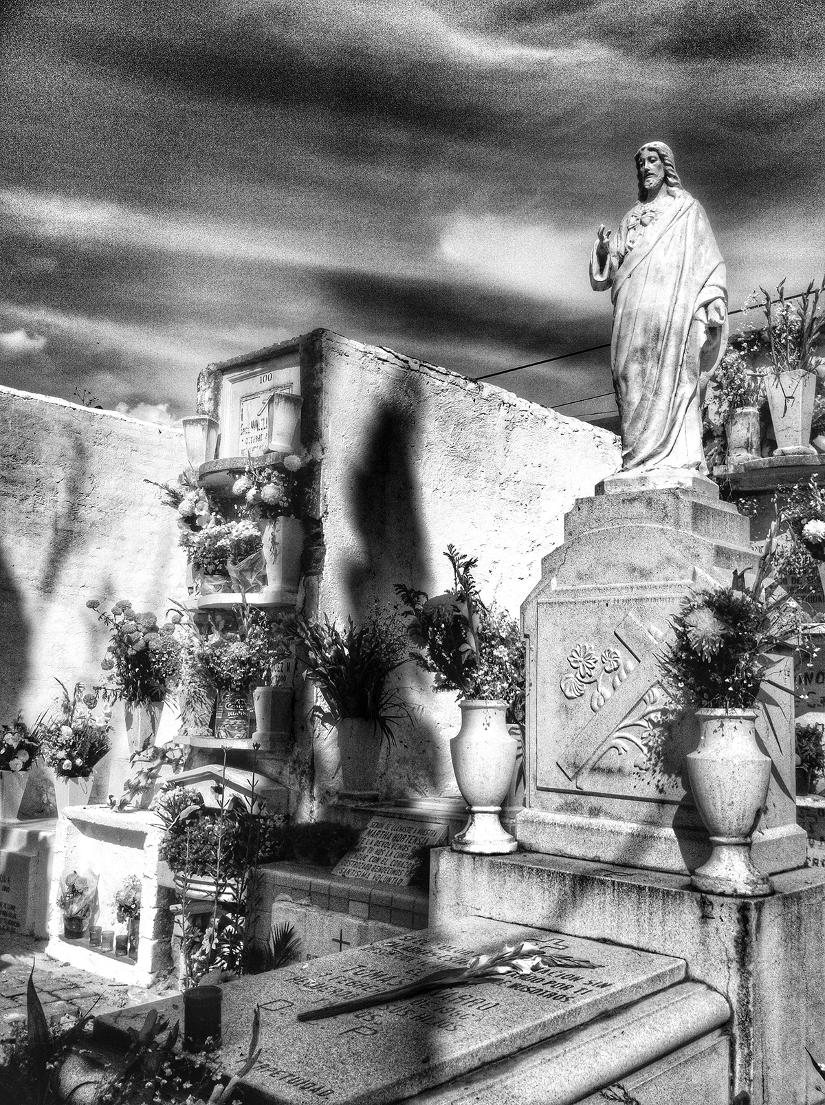 Fotografia dia de los muertos mexico Guanajuato panteon Calaveras skull El Arbol de la vida Huesos calaca