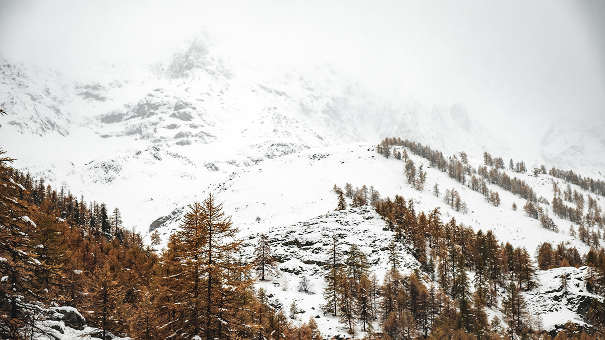 autumn Landscape winter mountain hiking RoadTrip snow forest alps france