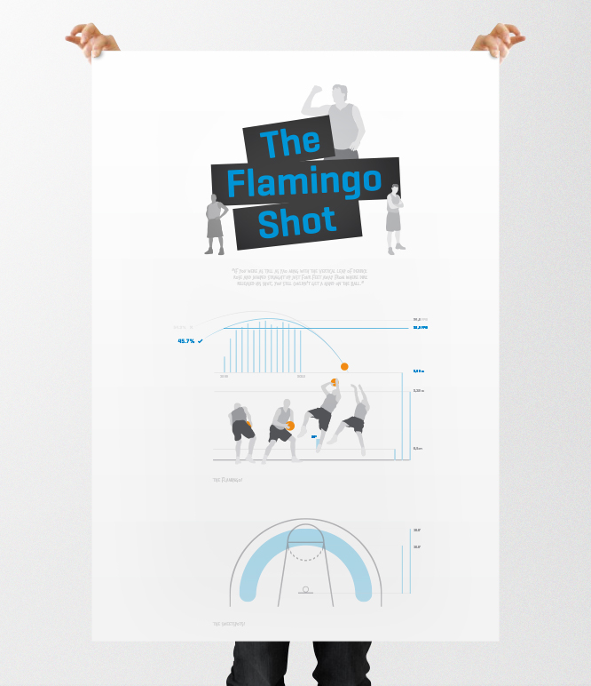 Dirk nowitzki Flamingo Shot poster infographic informationdesign