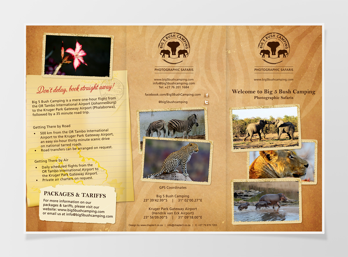 z-fold  business cards Marketing material brochure Logo Design