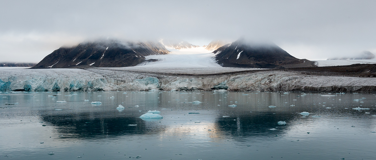 Polar Bear walrus iceberg glacier monochrome