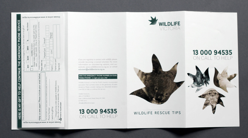 Wildlife Victoria Brouchure rebranding Australia