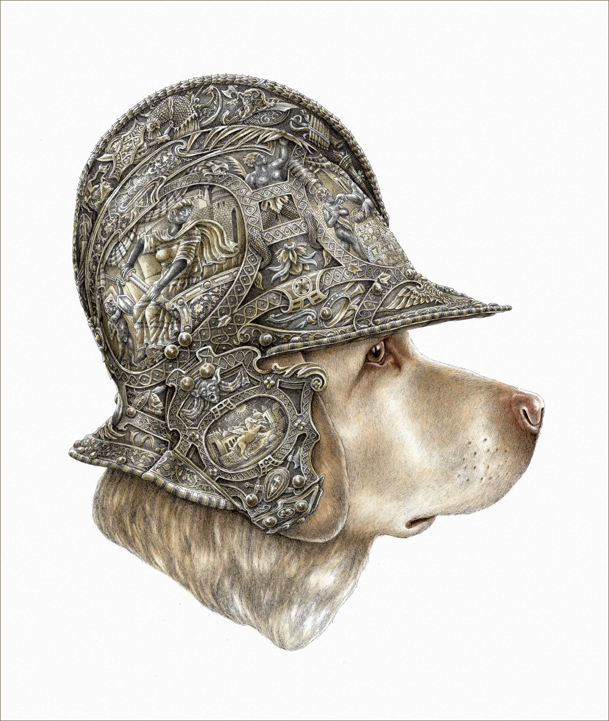 hatching Rotring ink watercolor Helmet pets War goldsmith tortoise dog