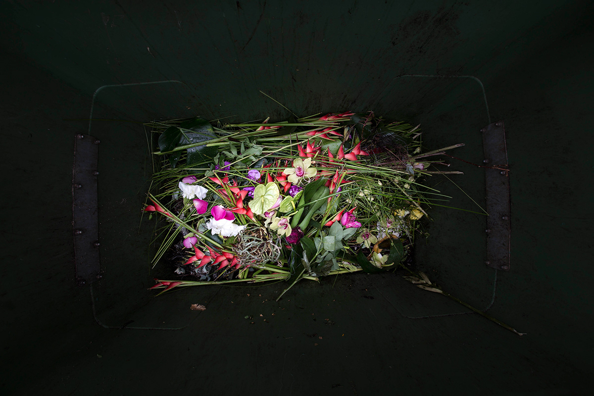 luxury Flowers environment waste consumer society dumpster