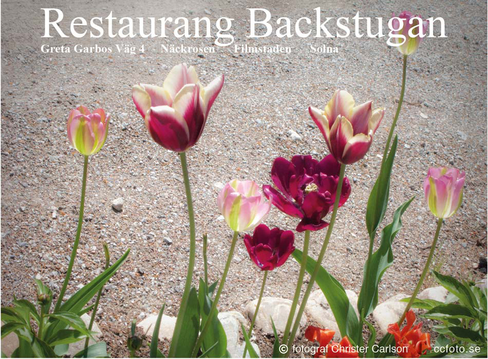 foto  album hemsida presentation  bild  Restaurang  mat  trädgård Backstugan Filmstaden Solna Stockholm fotograf fotografi