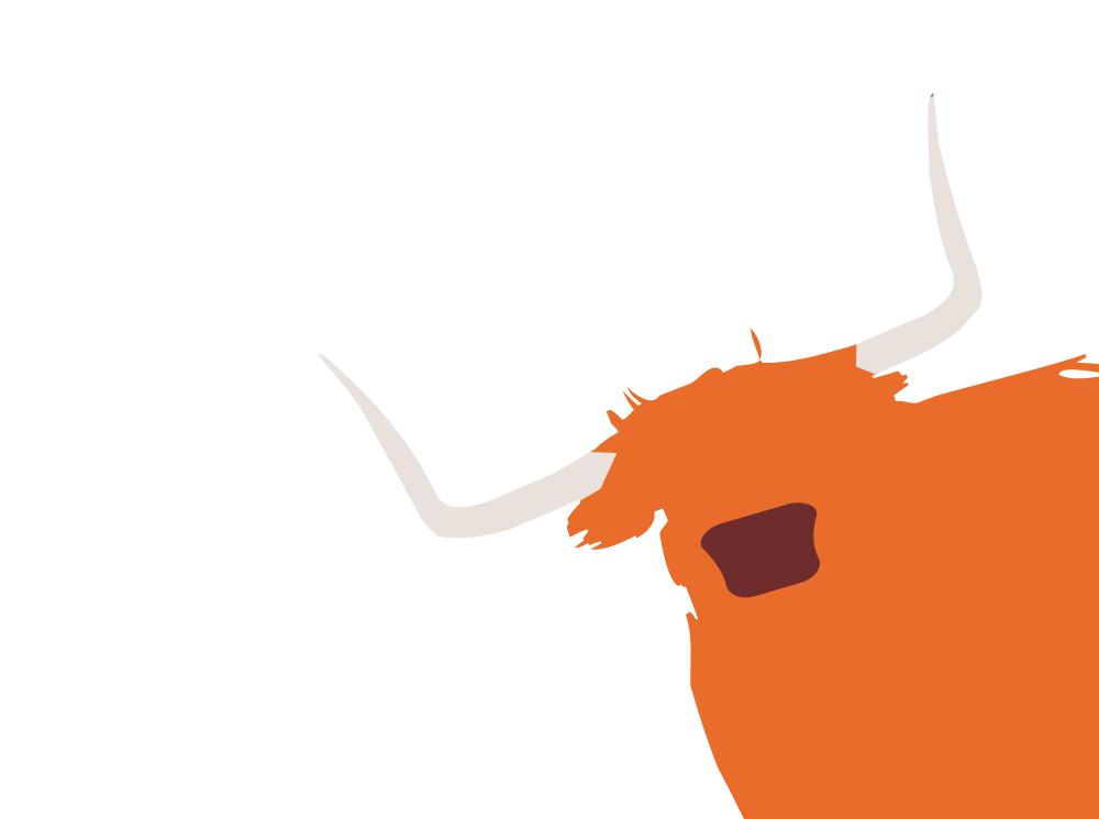Huddersfield west yorkshire ceilidh  event Promotion tickets flyers graphics scottish Highland cow Character flat design Illustrator