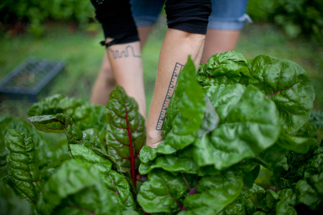 Adobe Portfolio urban farms food and farming grass roots food justice