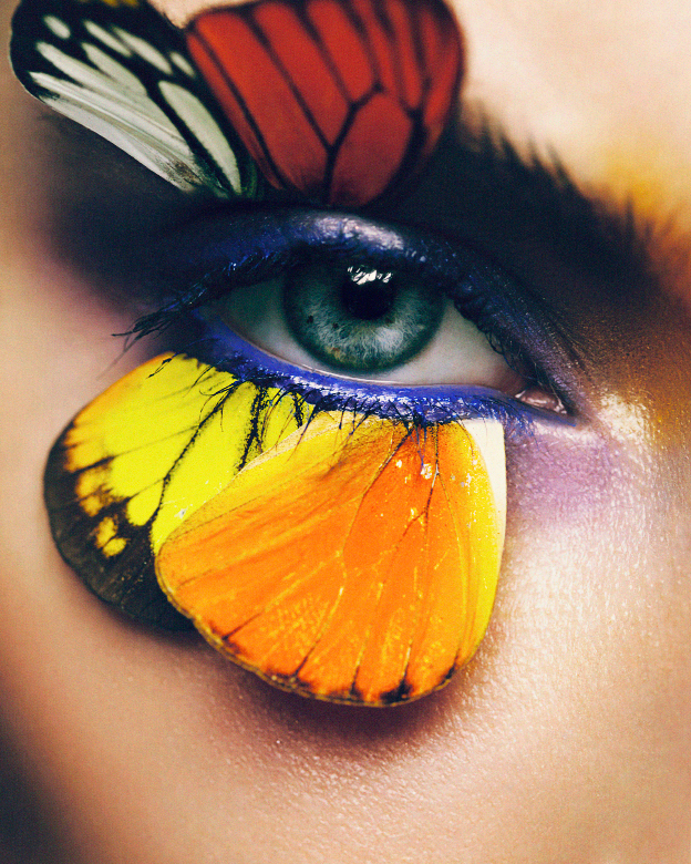makeup butterfly scoop model color art