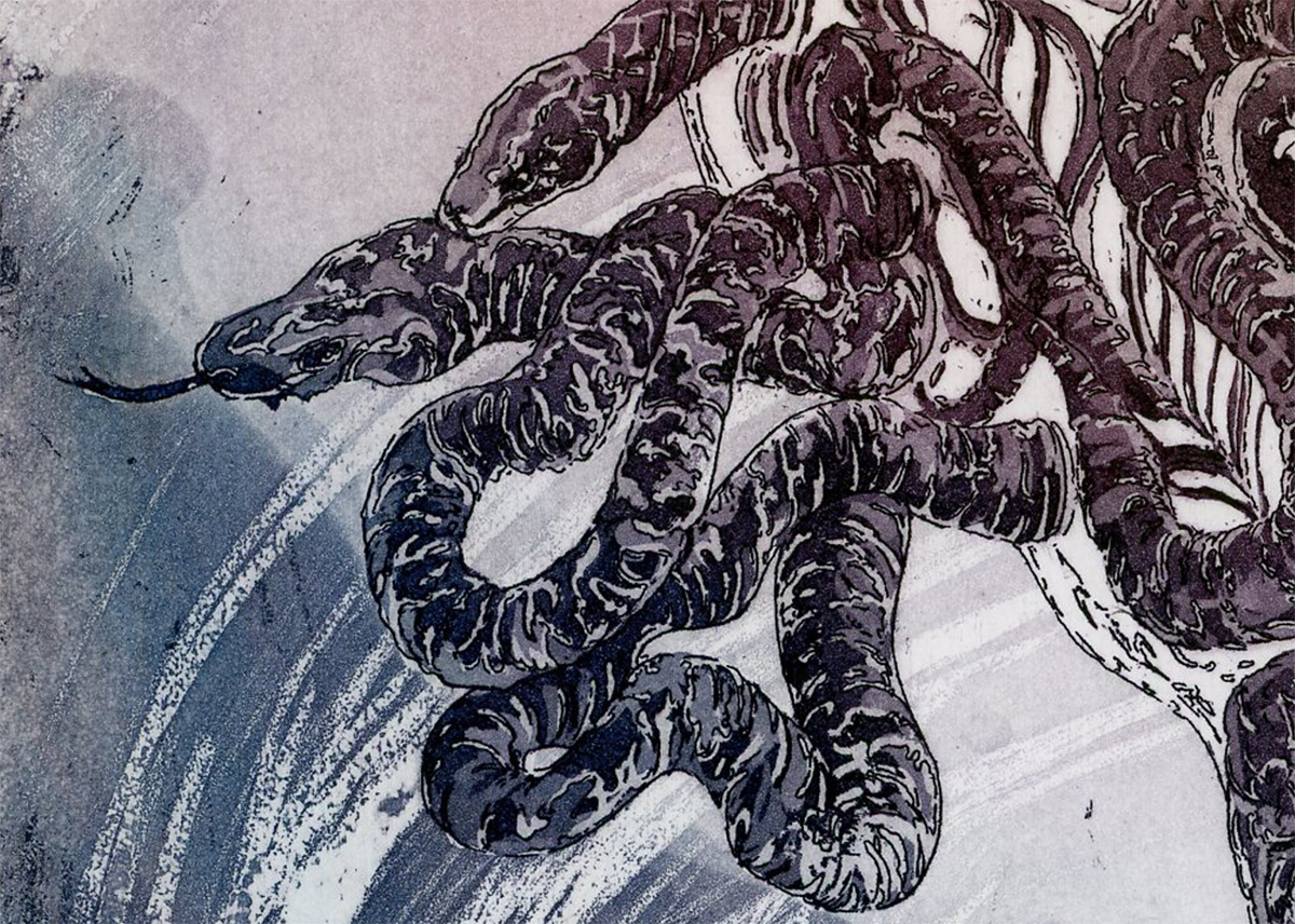 snakes Scales figure etching aquatint medusa python Chrysaor