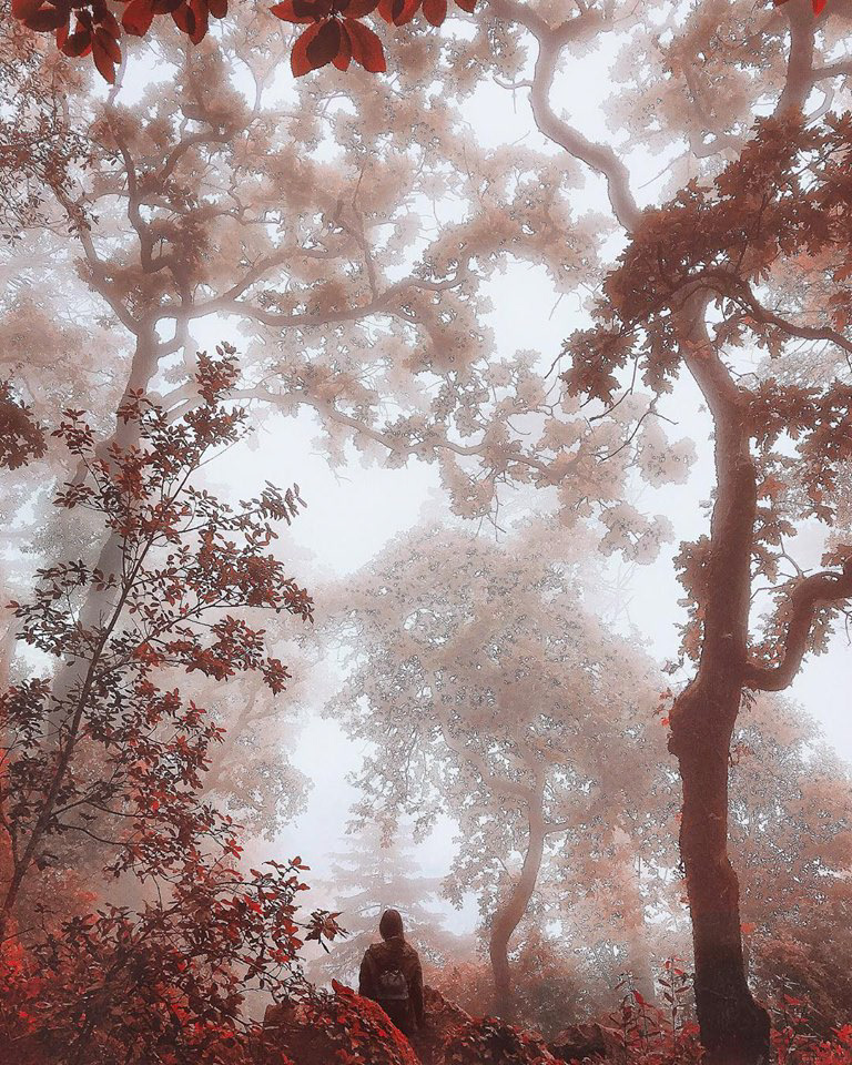 antrisolja iphone digital photo Carpathian sintra Portugal mist haze Travel
