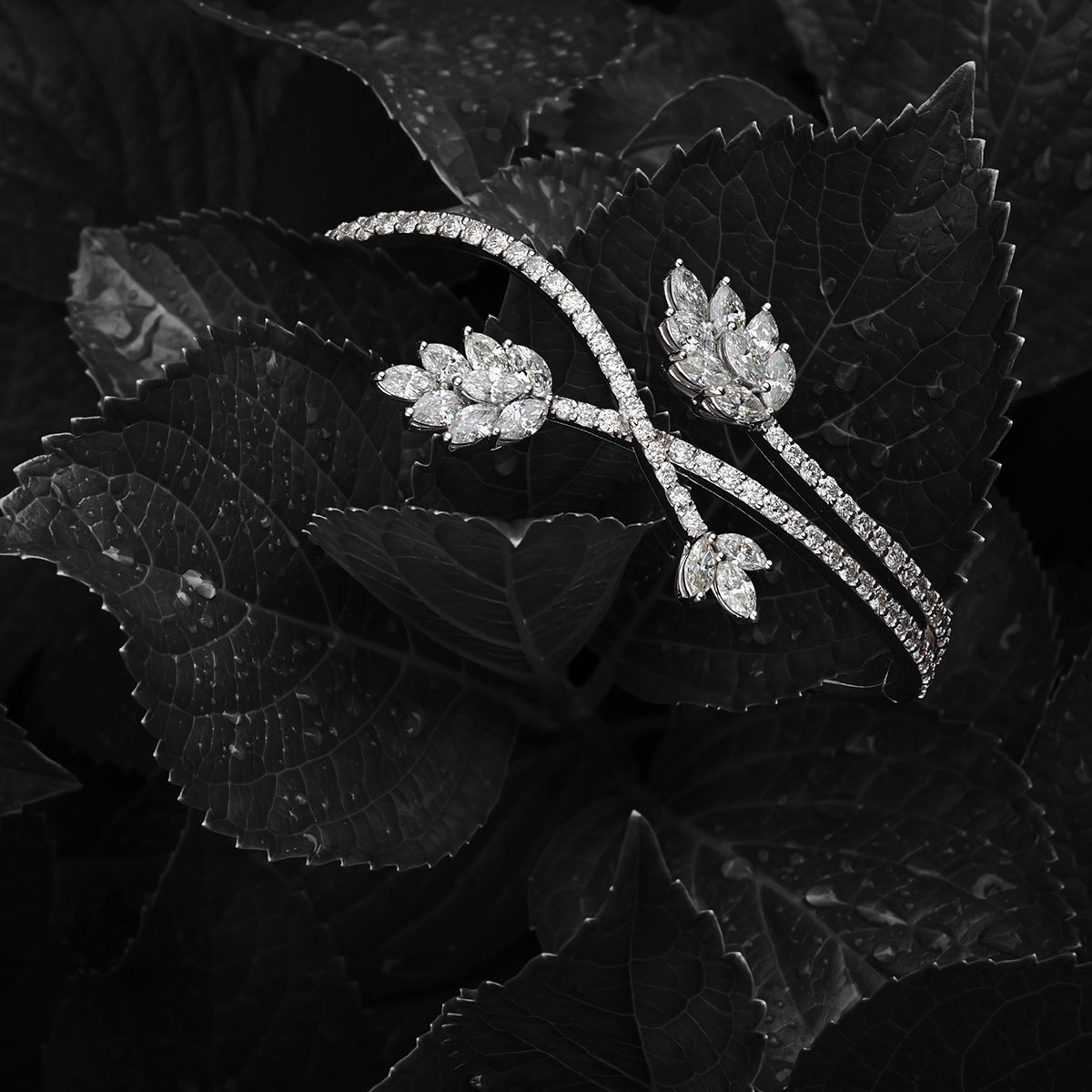 Jewelry Photography Photography  art direction 