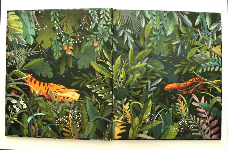 tiger children book jungle Picture book