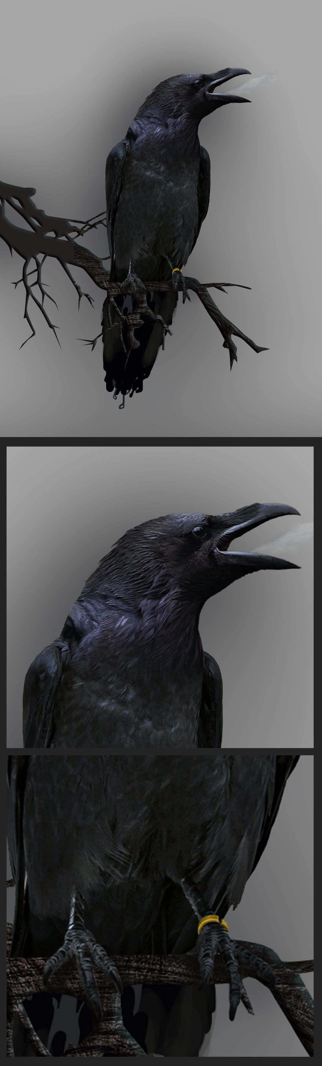 horror scarytales tvc estimese blindmedia crow dark Mystic viasat