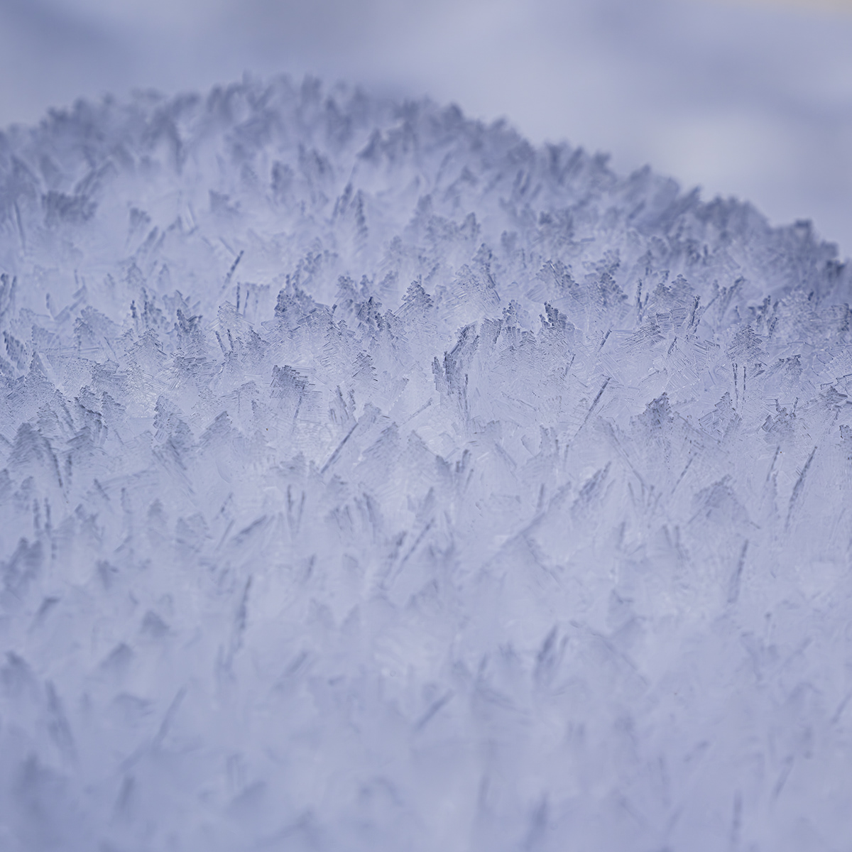 snow Photography  lightroom Nature abstract