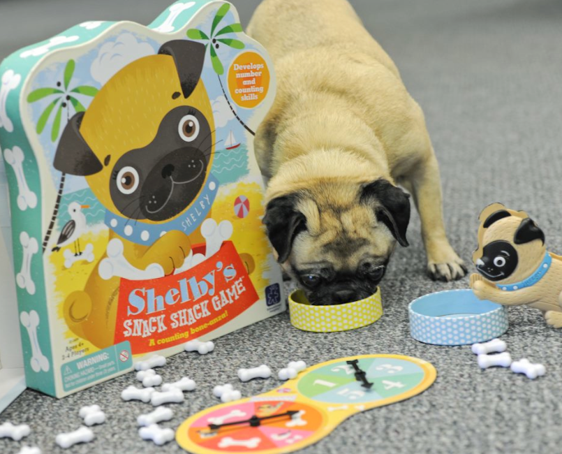 Adobe Portfolio toys Games dogs Preschool