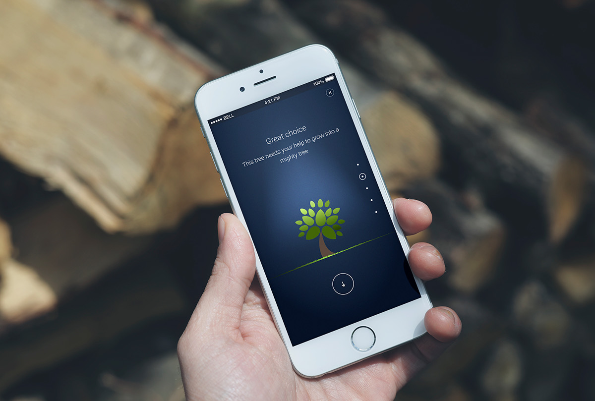 Responsive Experience game Tree  app Web webapp