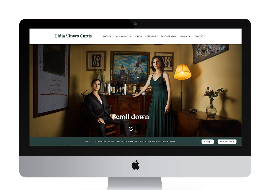 Homepage of the website Lidia Vinyes Curtis