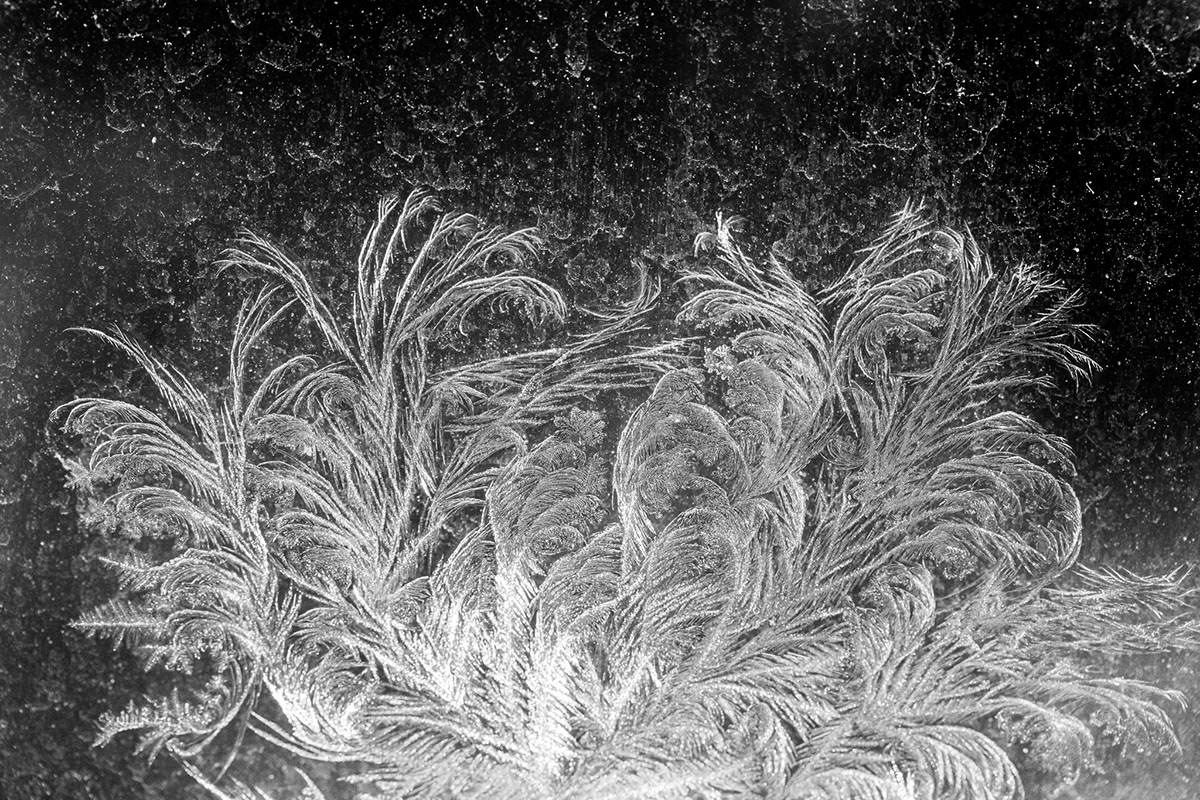 frost winter Nature Photography  texture pattern abstract