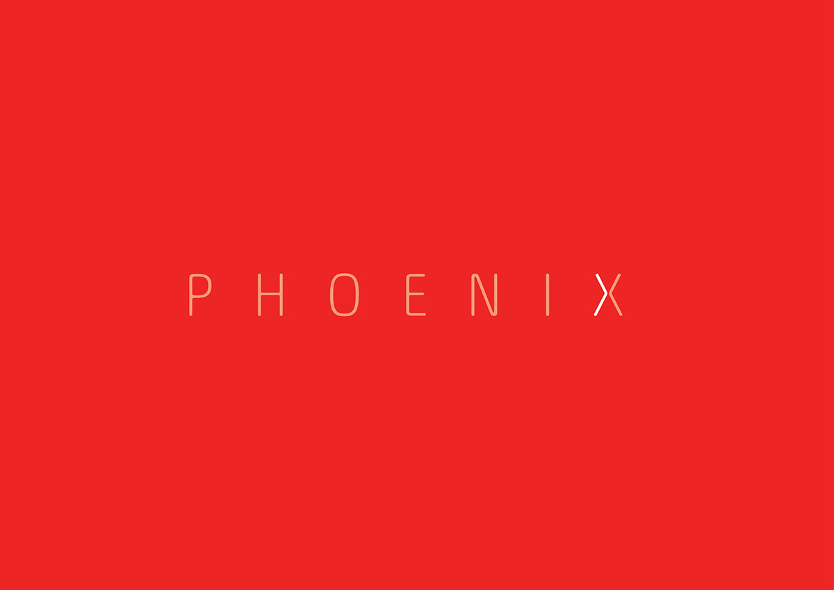 Phoenix marketing   logo Technology fire bird reborn future arrow