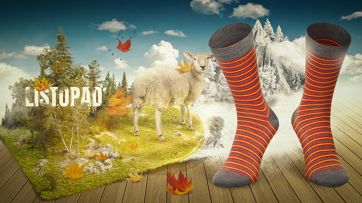Adobe Portfolio socks ponozkovice month Theme club men sock