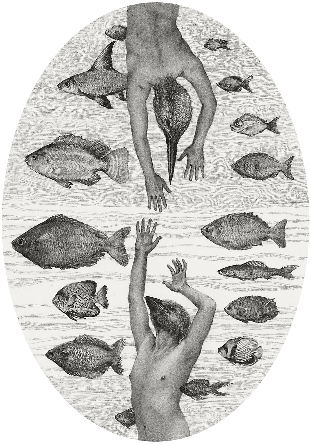 cantante surrealismo vestido pajaro peces oscuro nude cuerpo Plumas texturas