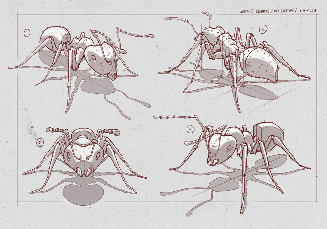 honey bee spider ant crawling insect Arachnid sketch Perspective
