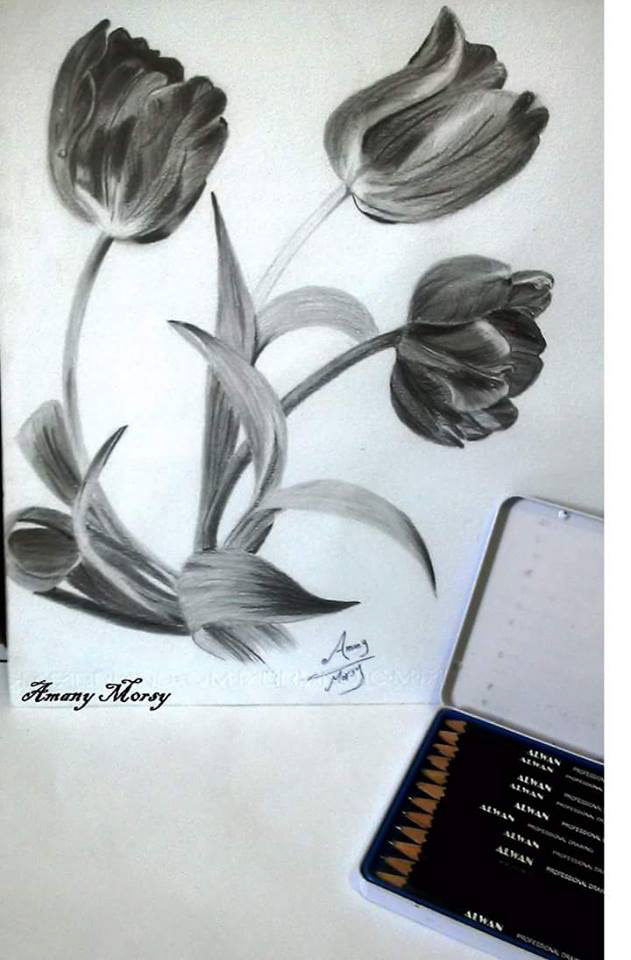 free hand Drawing  flower art sketch color
