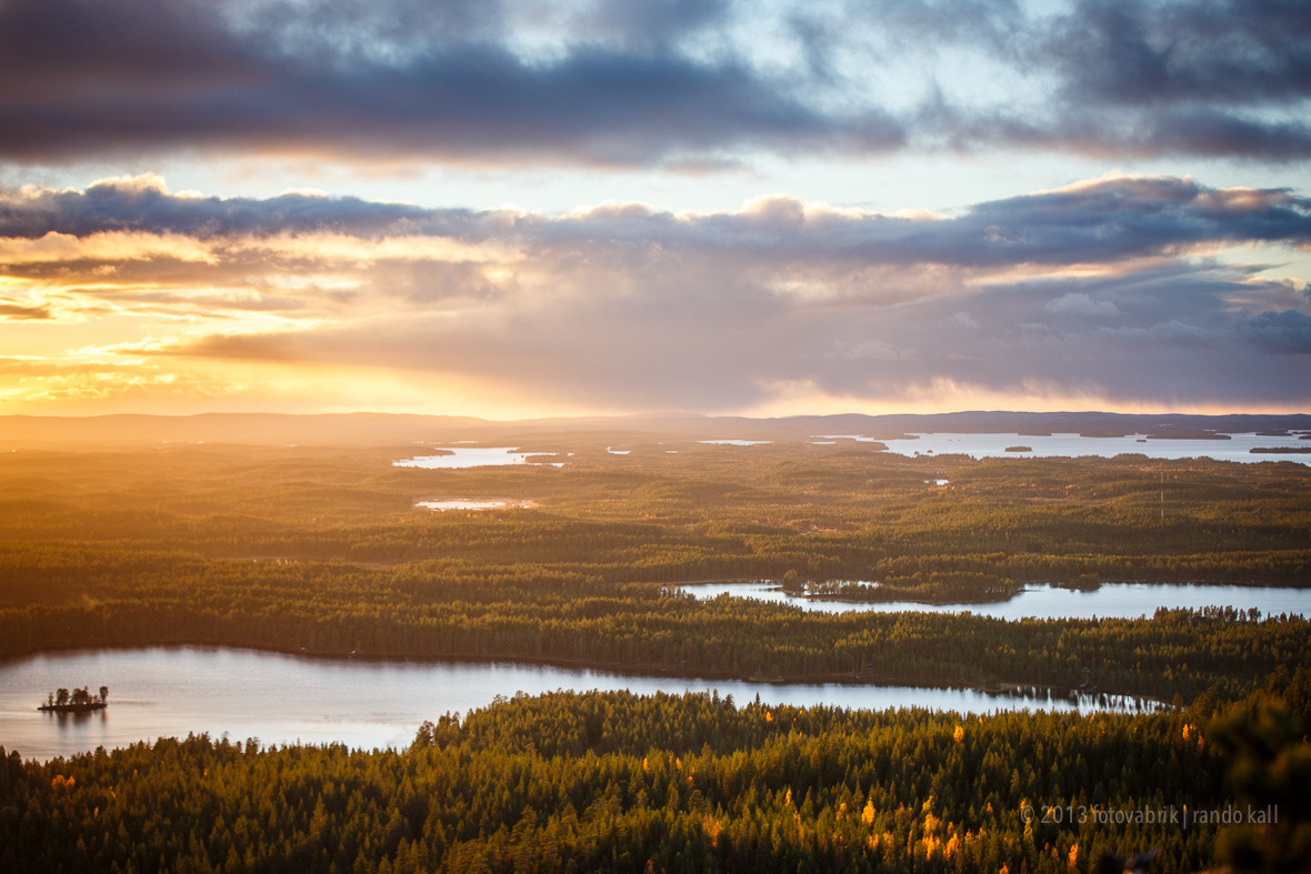 Nature Lapland finland Landscape autumn colours