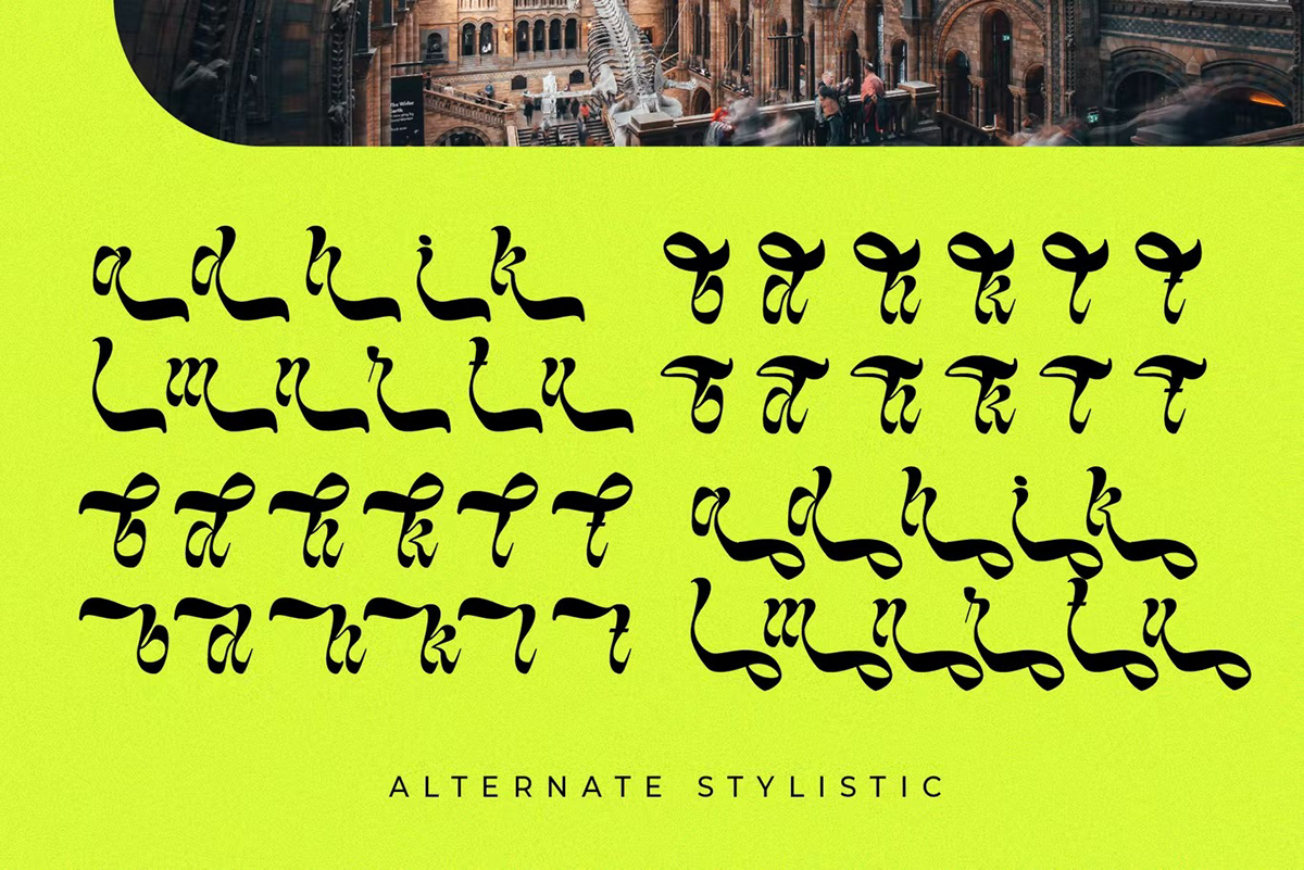 branding  Display display font featured font logo Logo Design popular Typeface typography  