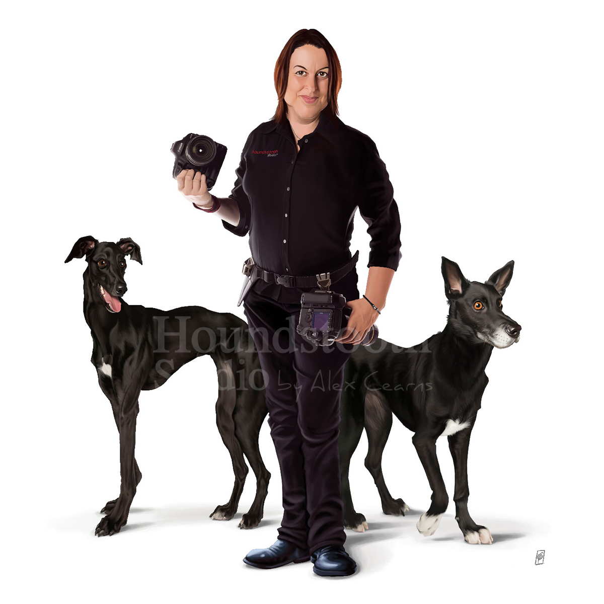 Alex Cearns dogs photographer Australia portrait caricature   digital wacom photoshop kelpie greyhound
