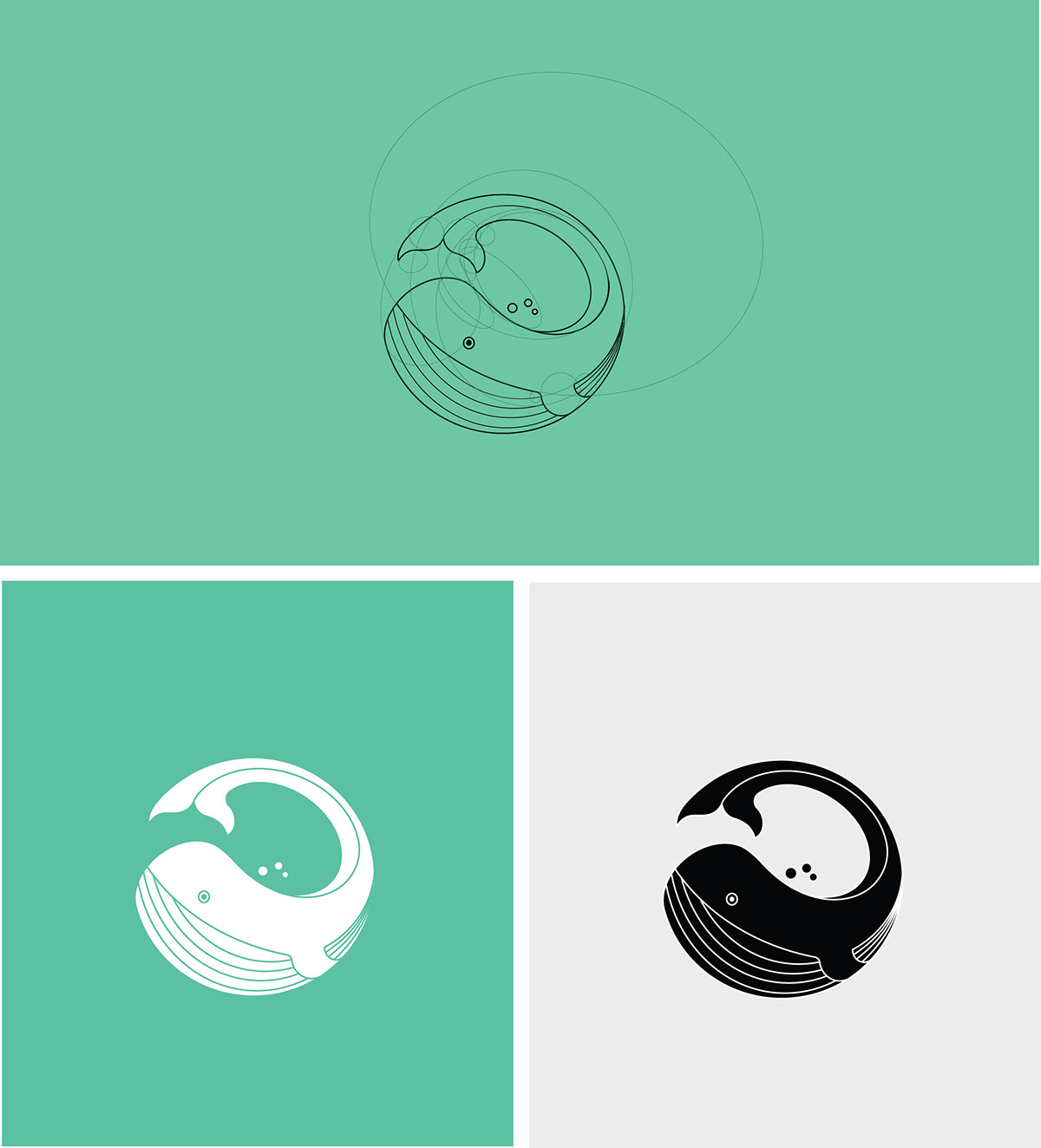 circle Circle guide logo Whale water simple sea blue circular circularguide