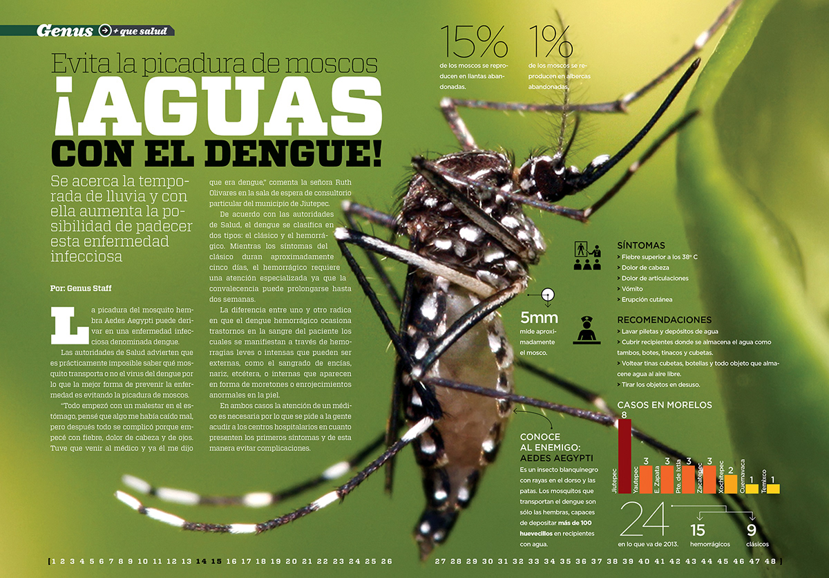 magazine editorial revista publicaciones Diseño editorial design print information infographic