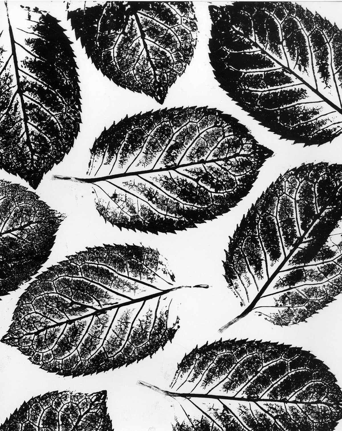 ink roller print leaf gift offset ink