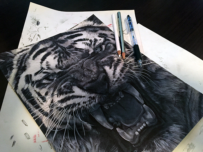 art fine art drawing Pencil drawing sketch tiger Pencil illustration animal wild life graphite pencil Tiger drawing tiger sketch tiger illustration Realism hyper realism ball point pen