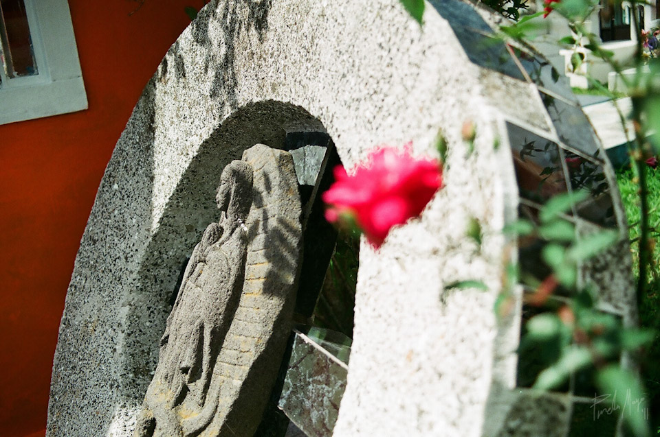 graveyard panteon death memories angel
