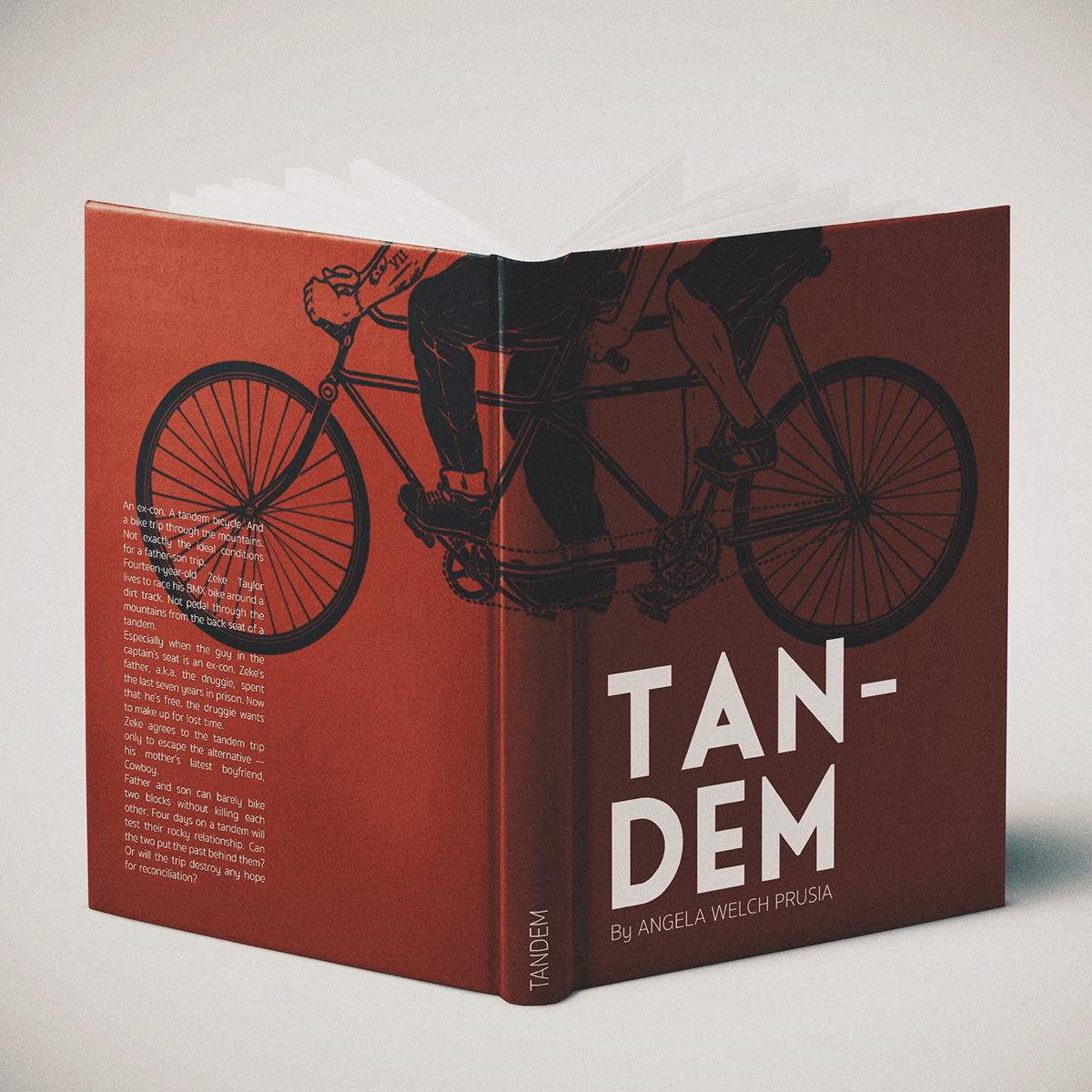 tandem Bike tandem bike Bicycle book cover book cover design book design ilustracion graphic artwork