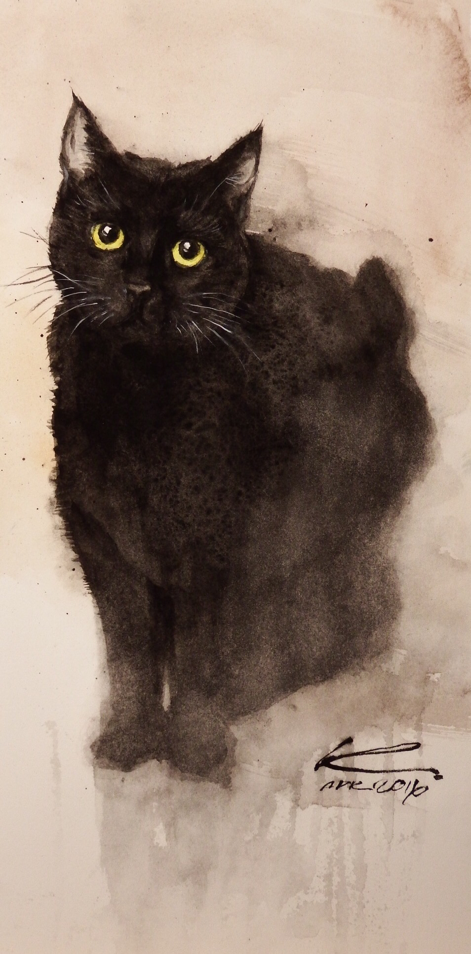 Cat black 3color