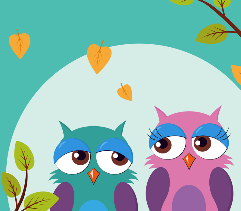 Cartoons animals cute vector digital owls Panda  penguin chicken blue green