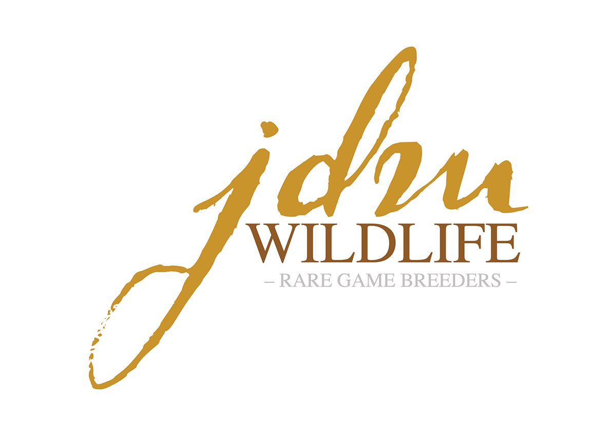 logo design identity wildlife